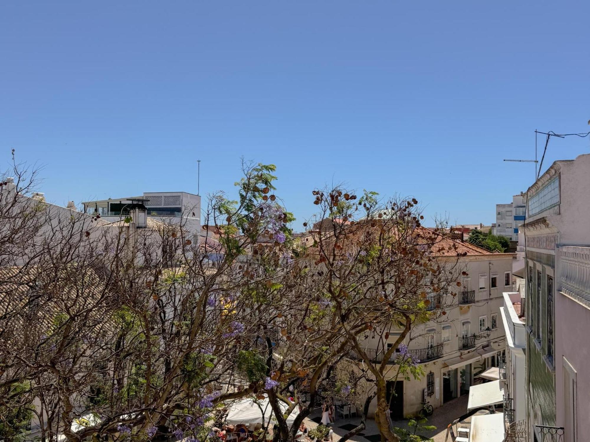 Penthouse With Balcony In The Historic Center #1956 Apartment *